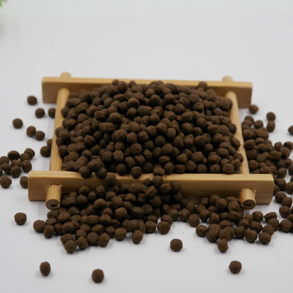 Mejor Sabor Comida para Perro Comida para Gatito Comida Seca para Perro y Gato