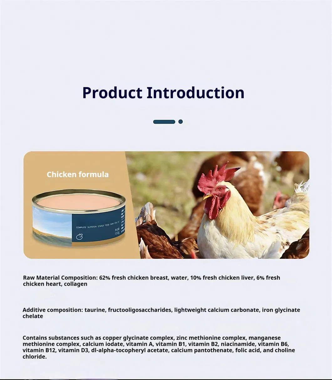 Info 3