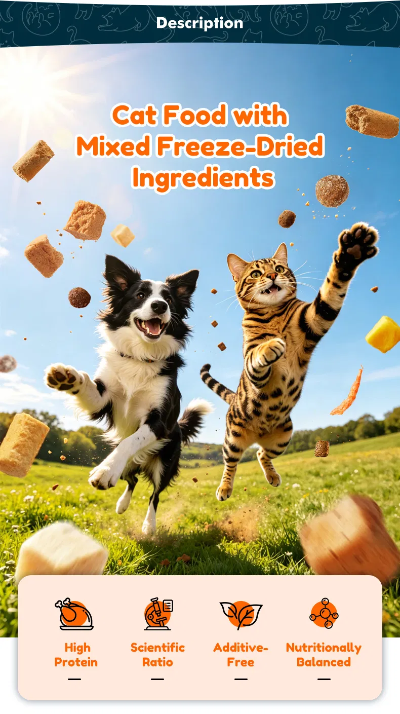 Comida para gatos liofilizada mixta con huesos de carne cruda y yema de huevo