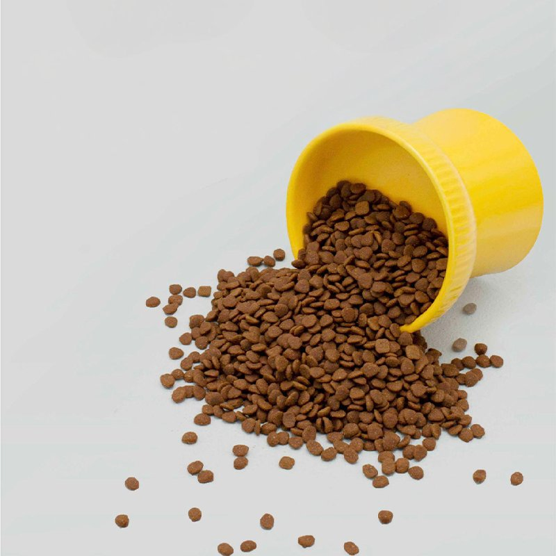 Comida seca nutritiva para gatitos para un crecimiento óptimo y salud dental