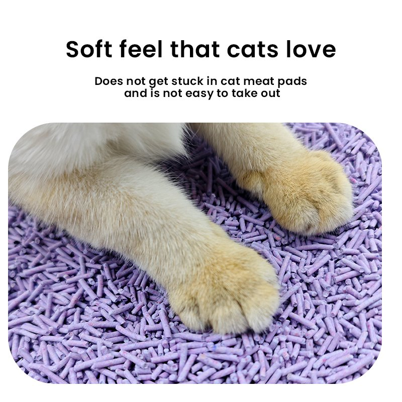 Precio mayorista no contamina el medio ambiente, arena para gatos de pino aglomerante de maíz, cristal natural, arena para gatos de carbón activado, arena para gatos de tofu