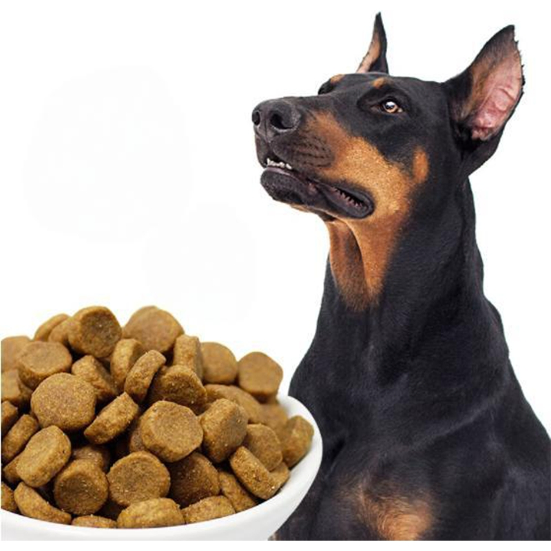 Comida para perros nutritiva para el manejo del peso de mascotas felices y saludables