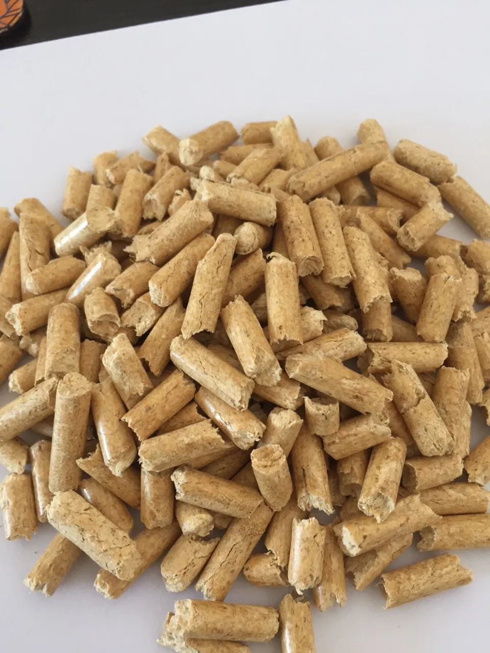 Productos de caja de arena para gatos con aroma a madera natural de pino