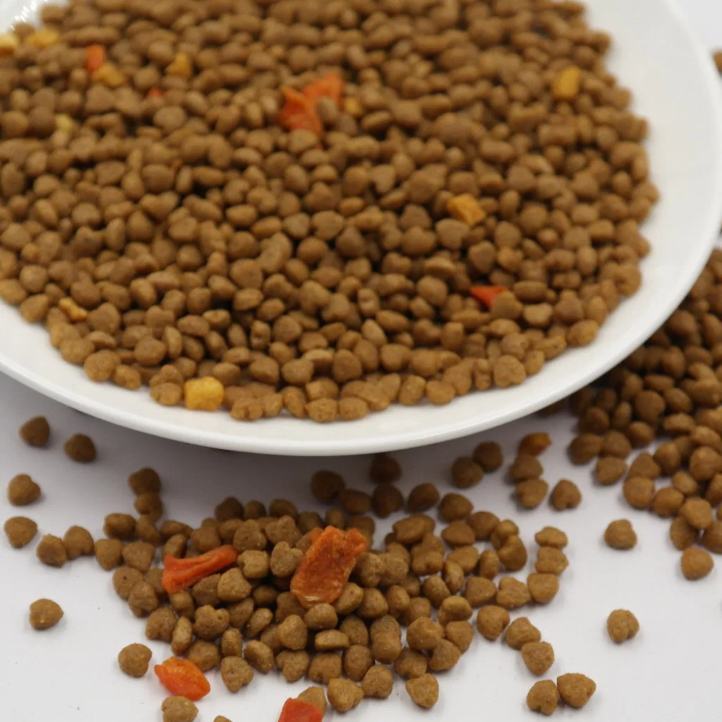 Mejor Sabor Comida para Perro Comida para Gatito Comida Seca para Perro y Gato