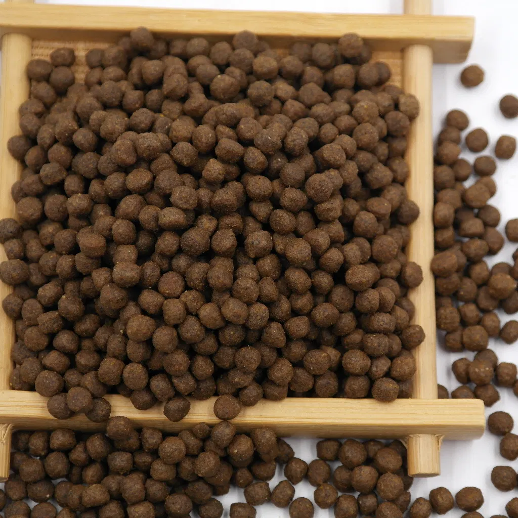 Mejor Sabor Comida para Perro Comida para Gatito Comida Seca para Perro y Gato