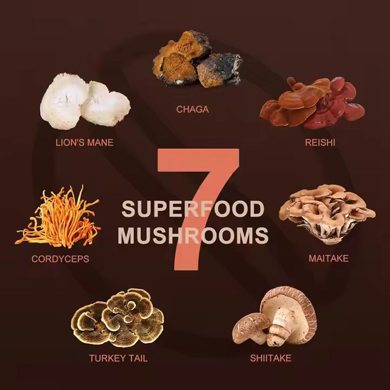 Extracto en polvo de café de champiñones orgánico saludable