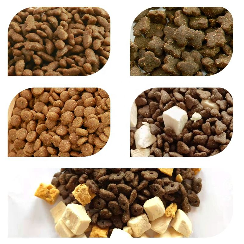 Fábrica de Comida para Gatos OEM Alta Nutrición Sabor Variado Comida Seca para Gatos Adultos de Raza Pequeña