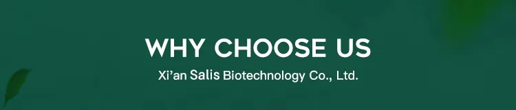 Instalaciones de investigación y desarrollo