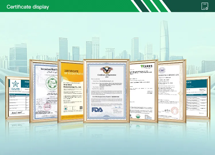 Certificaciones y Calidad 1