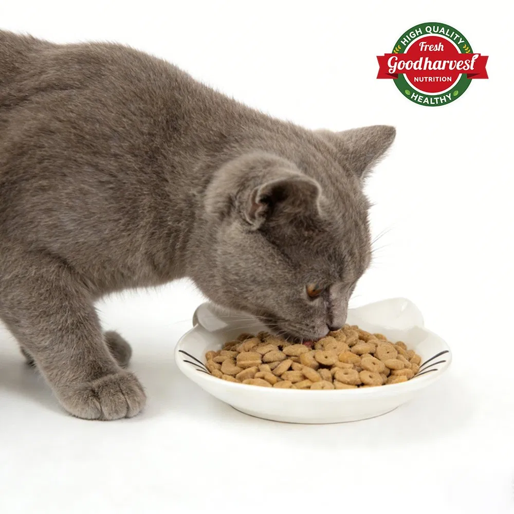 Alimento seco natural alto en proteínas con dieta equilibrada para adultos y gatitos