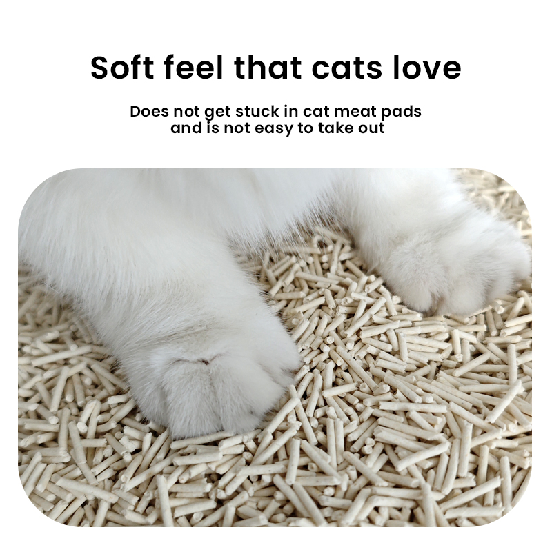 Arena para gatos desodorante antibacteriana, ecológica, de aglomeración rápida, suave para las patas, con aroma a pino