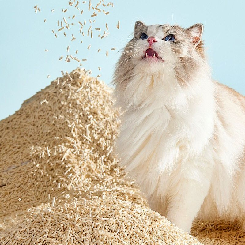 Arena para gatos de tofu de alta calidad, todo tipo de aglutinante natural, control de olores