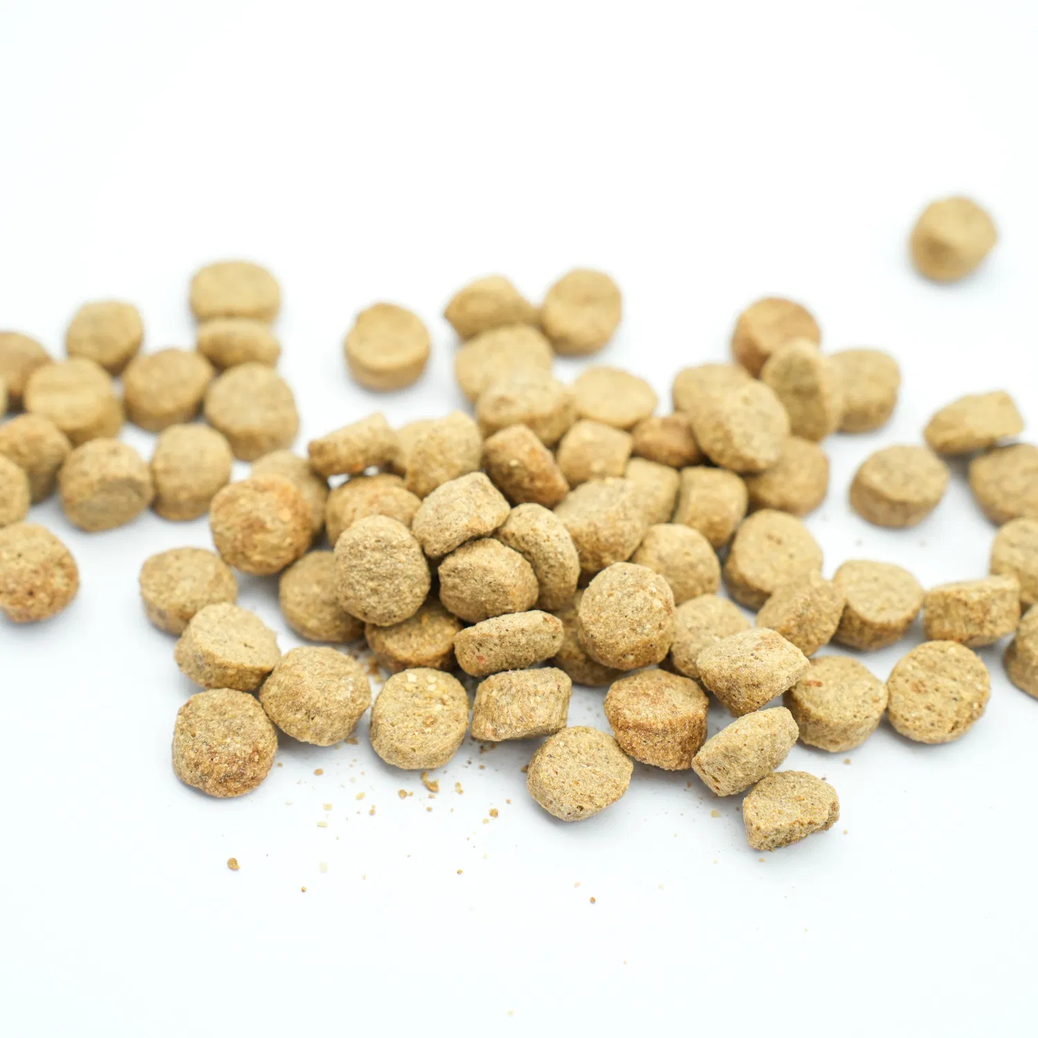 Alimento seco para gatos, nutrición, alimento para gatitos