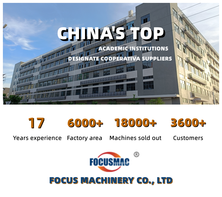 Focus Machinery Customizable 3-Layer Conveyor Food Grade Industrial Flat Curved Modular Belt for Manufacturing Plant New