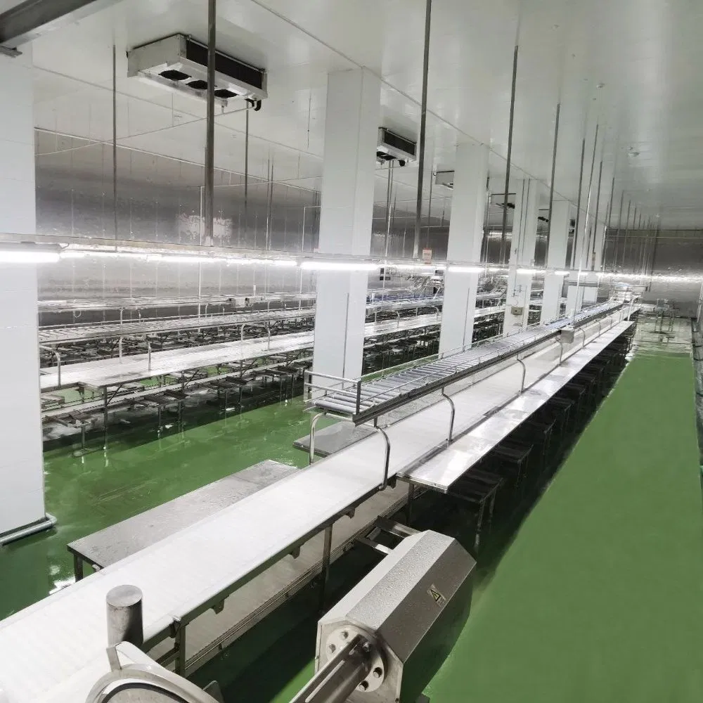 Advanced Food-Grade Conveyor System for Meat Portioning Efficiency