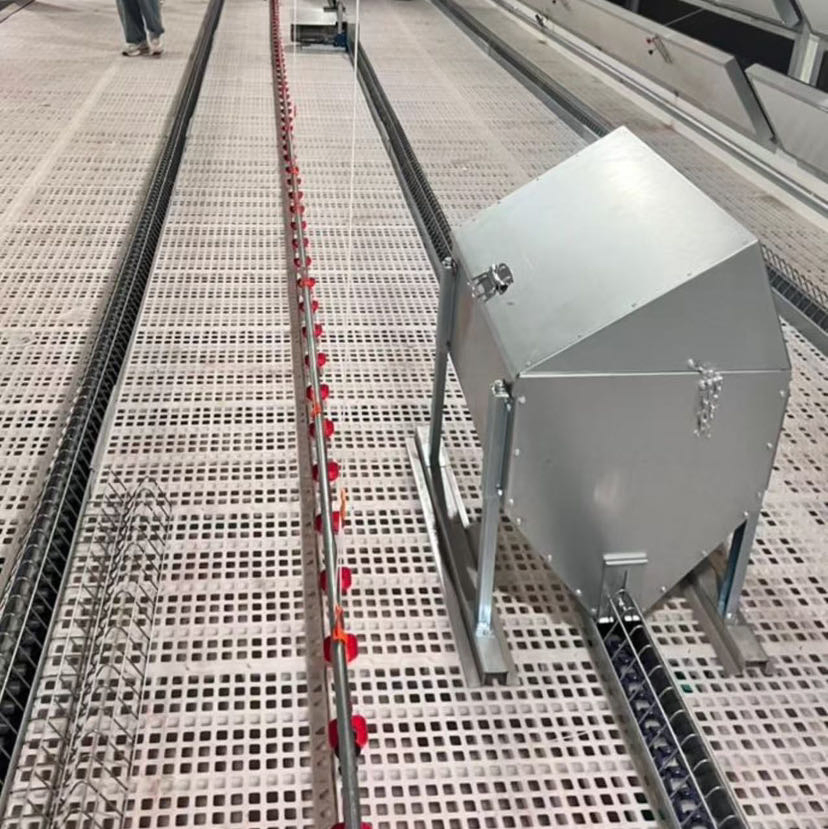 Agriseo High Quality Breeder House Feeding Equipment with Corner Wheel Conveyor Chain System for Efficient Poultry Nutrition Management