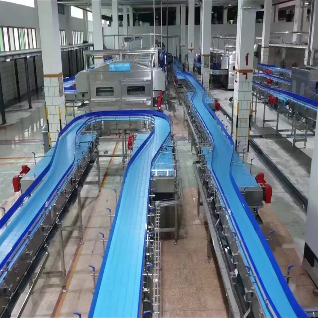 Conveyor System 1