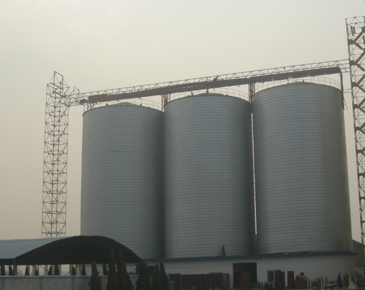 Customizable Chain Conveyor System for Bulk Material by Hualiang