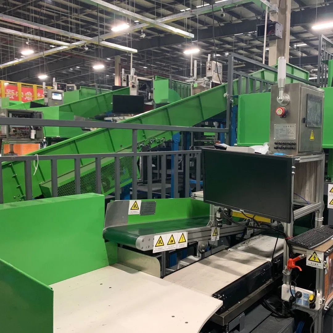 High-Precision Automated Sorting Line with Integrated Weighing System