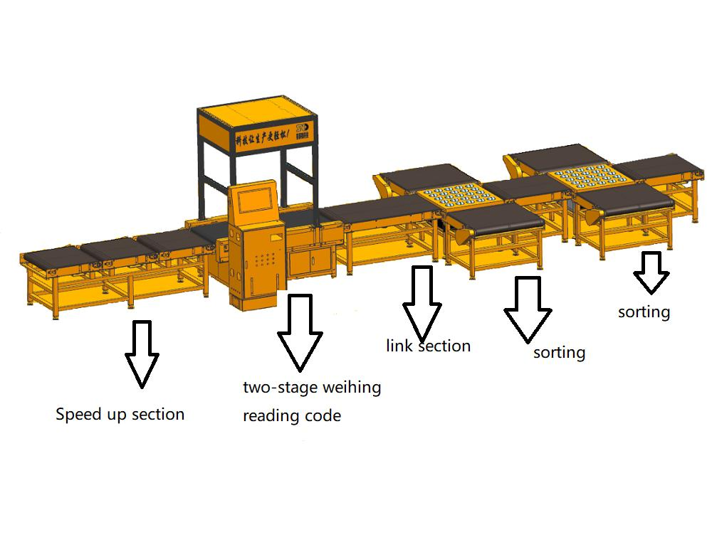 Bar Code Scanner Sorting Line Sorter Qr Machinery Pallet Palletizer Machine Dynamic Conveyor Dws System