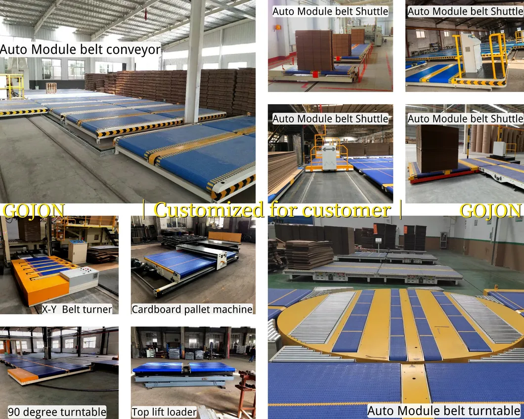 Module Belt Conveyor