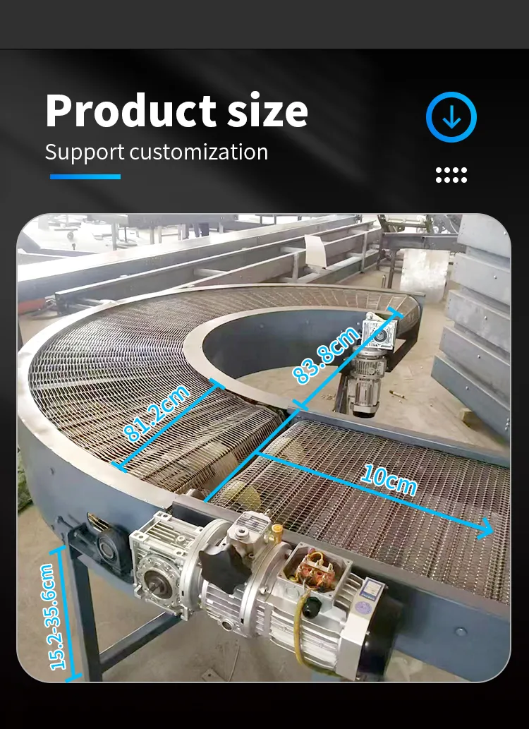 Conveyor Detail 6