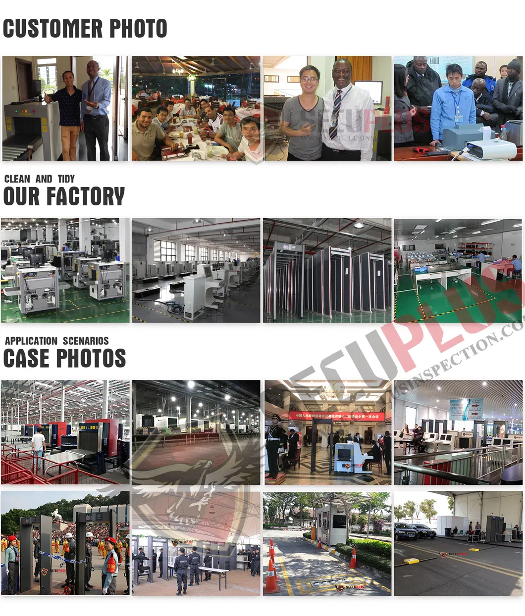 X-ray Pallet Cargo Inspection System