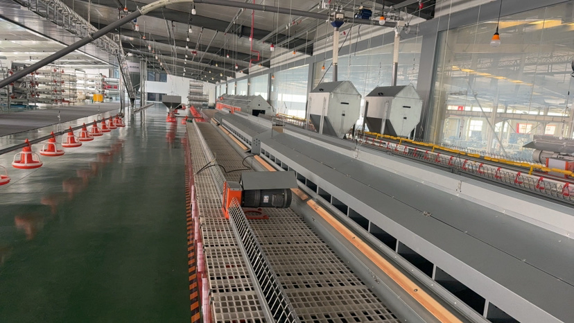 Agriseo High Quality Breeder House Feeding Equipment with Corner Wheel Conveyor Chain System for Efficient Poultry Nutrition Management