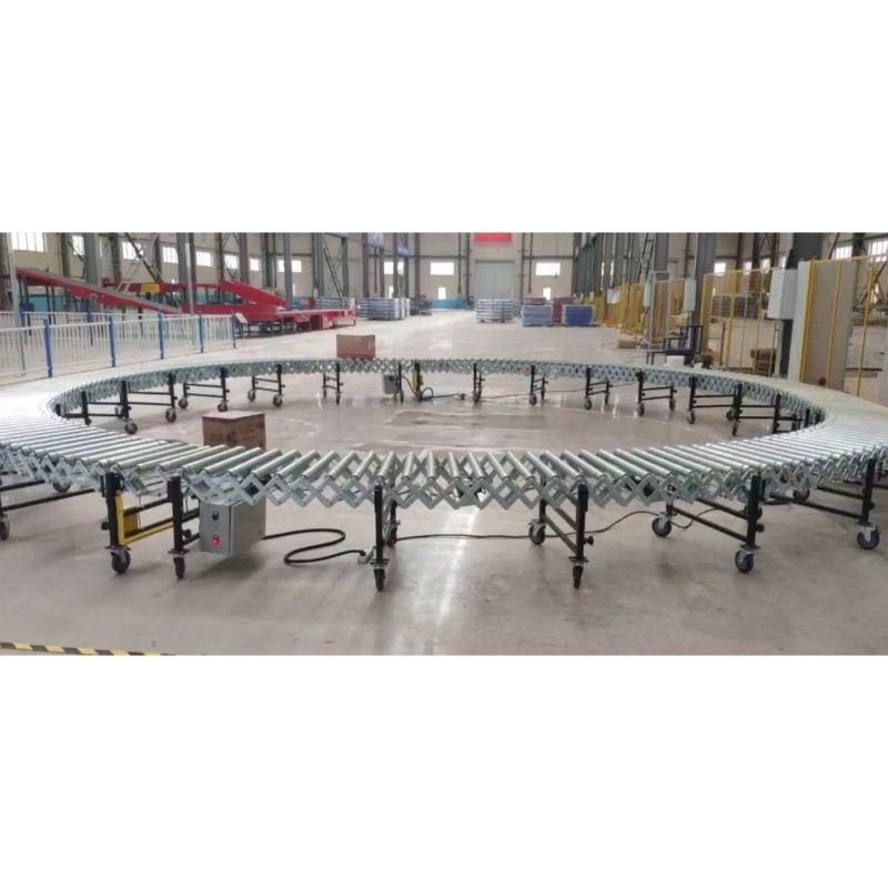 Custom Automatic Electric Roller Conveyor Line System for Package/Medicine