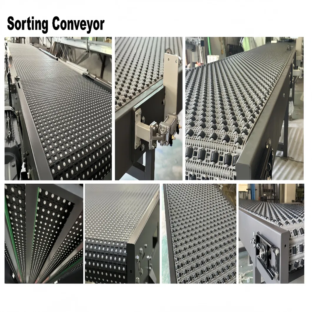 Service and Quality Support