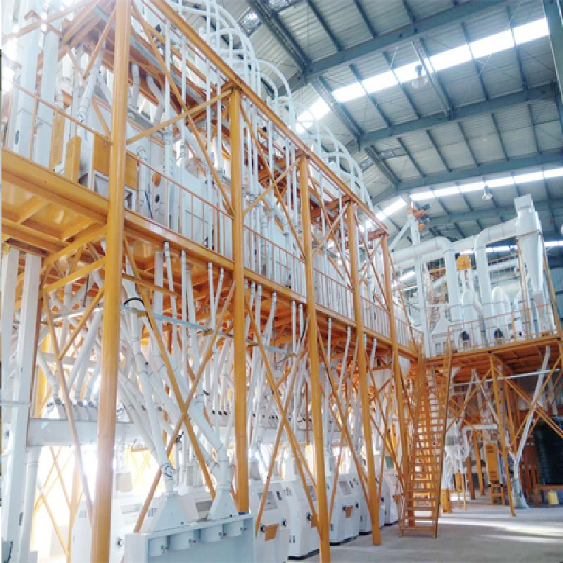 Reliable 400tpd Corn Conveyor System for Large Scale Operations