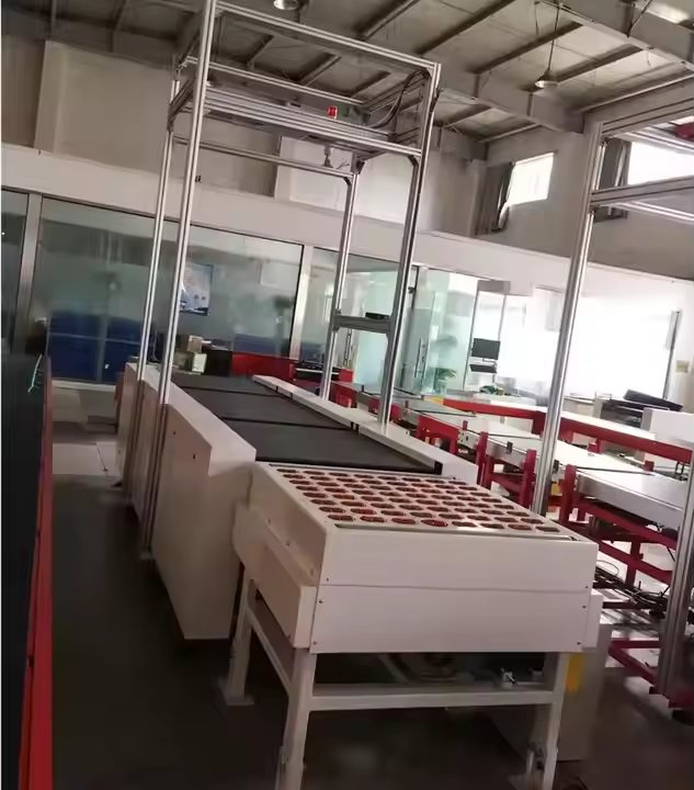 Parcel Sorter Conveyor System Package Box Bag Sort Conveyor Sorting Conveyor System