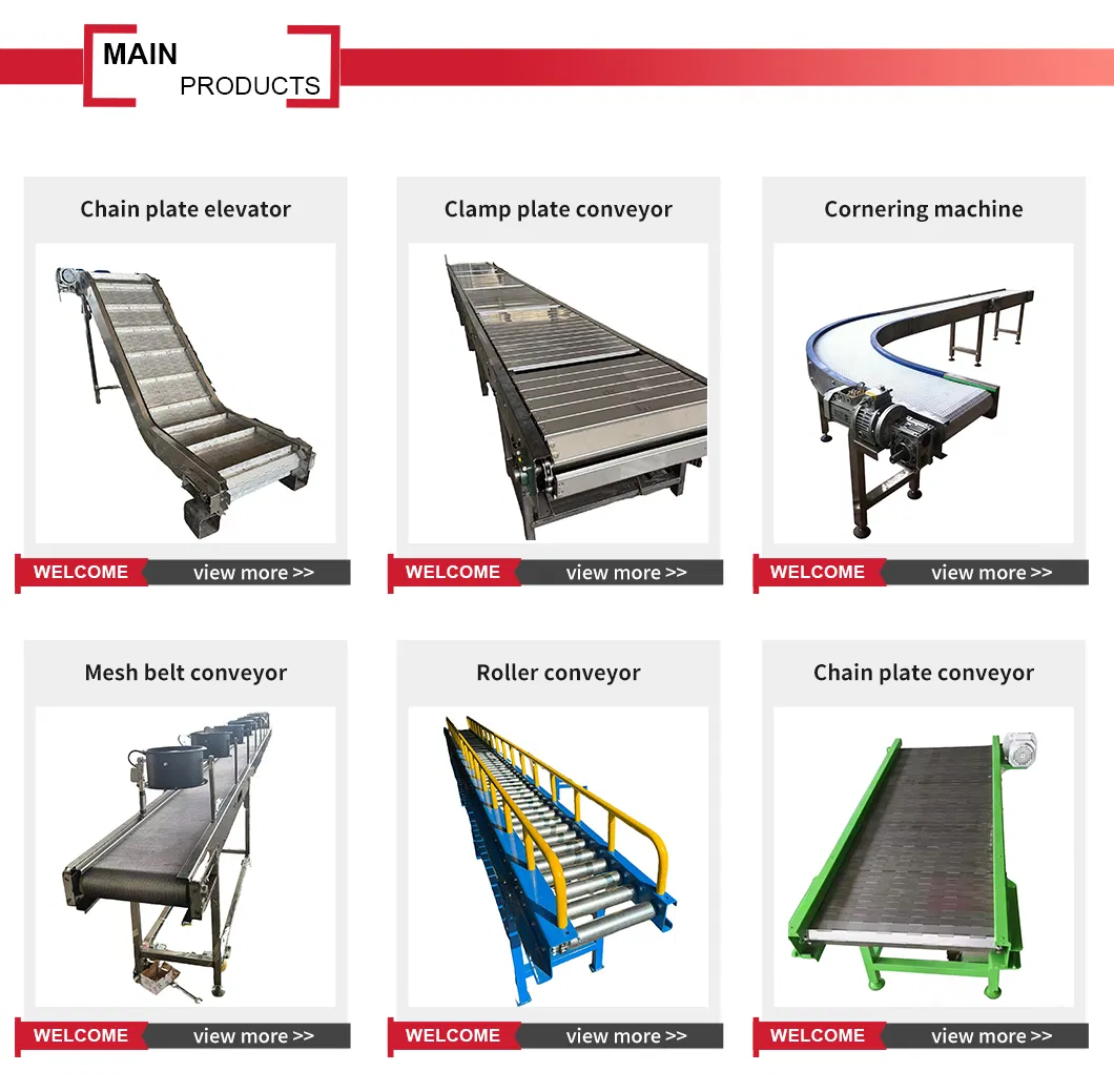 Chain Conveyor Details