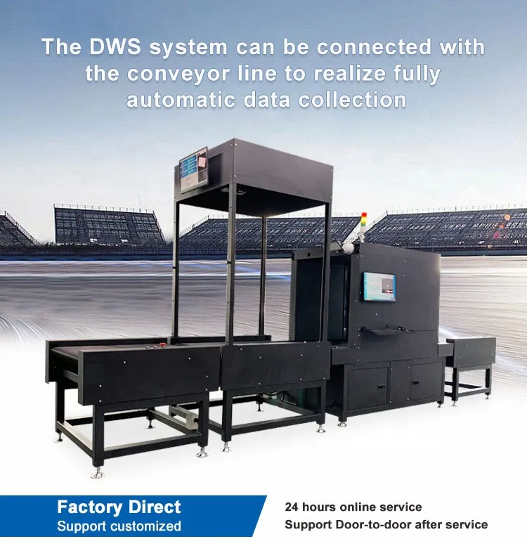 DWS System Overview
