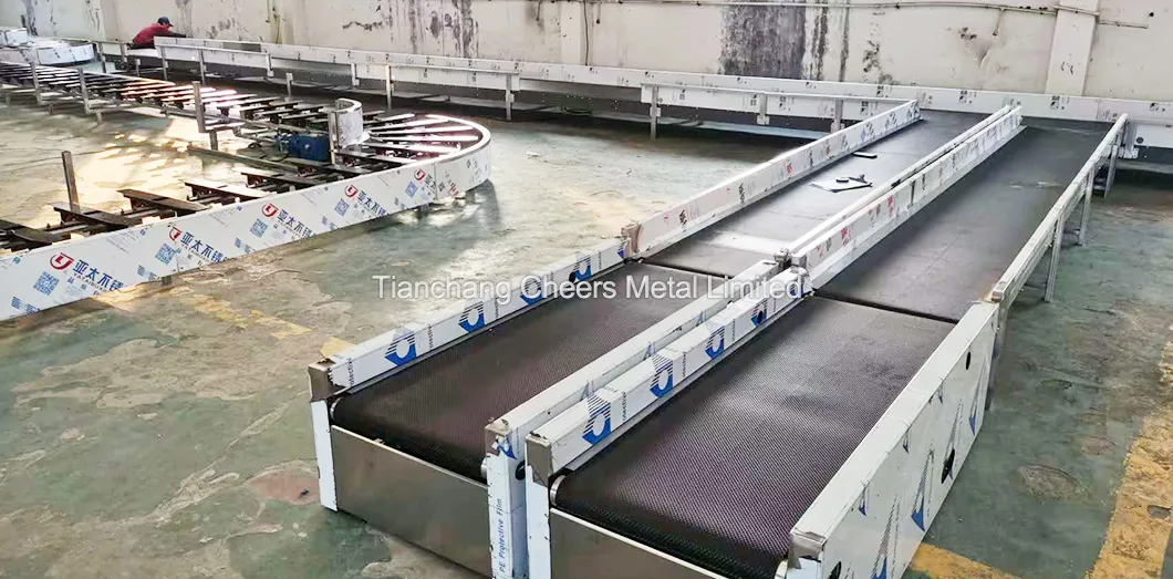 Airport Baggage Roller Conveyor Belt System 2