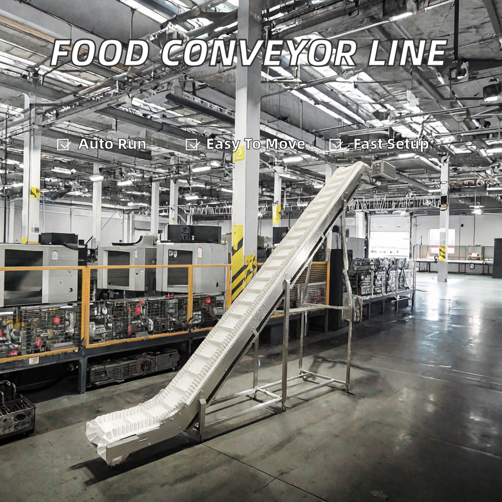 Food Processing Conveyor 2
