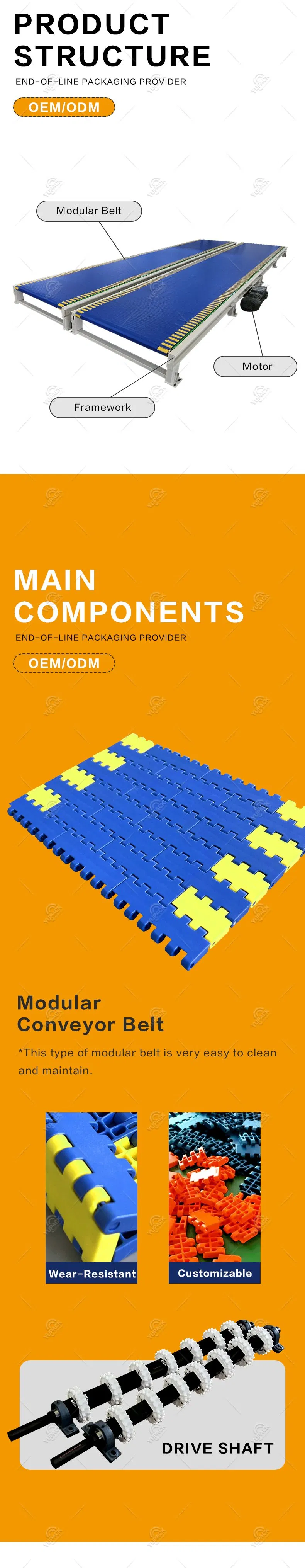 Conveyor System 4