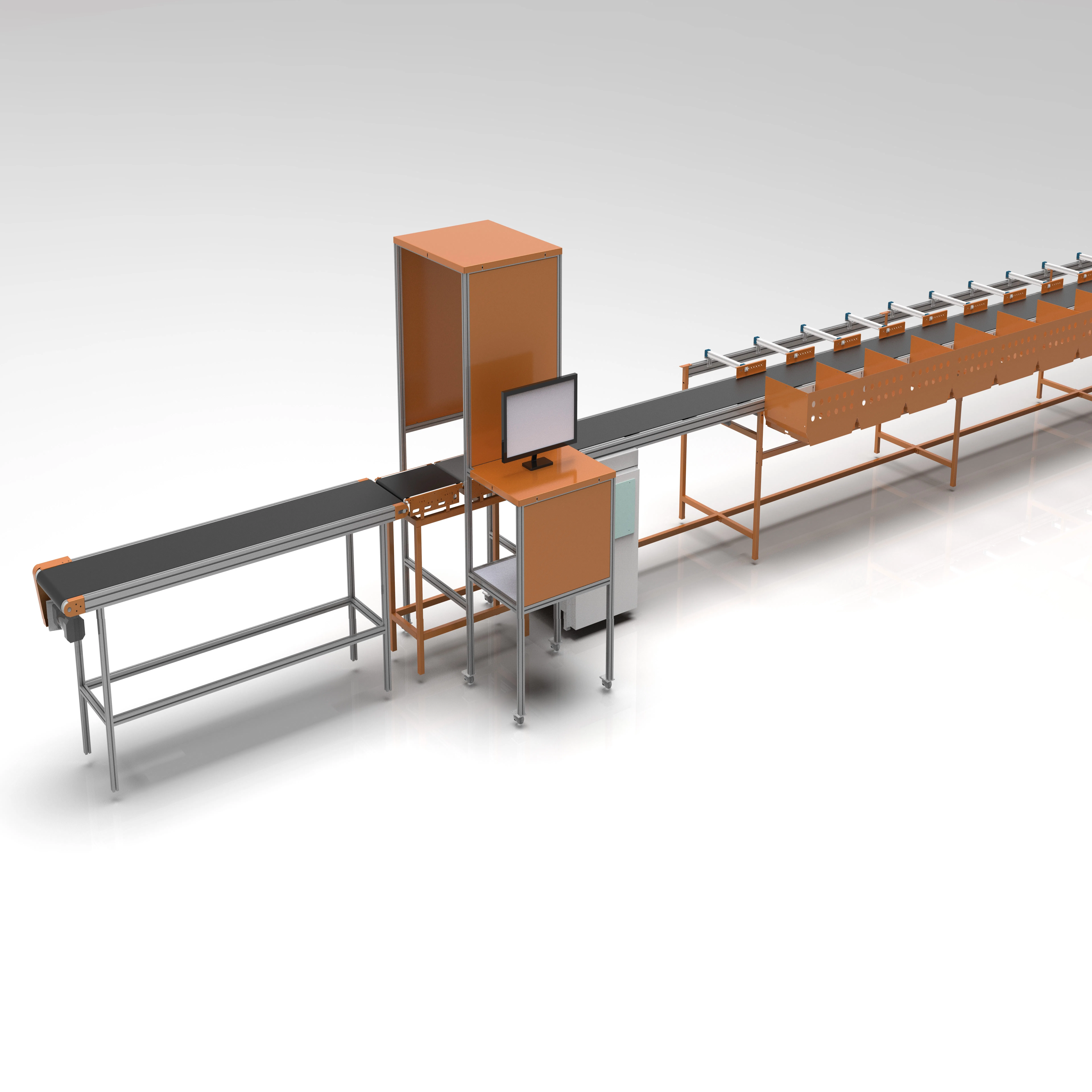 High-Precision Automated Sorting Line with Integrated Weighing System