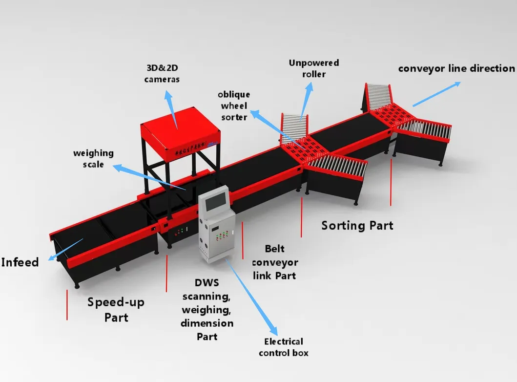 Dynamic DWS System