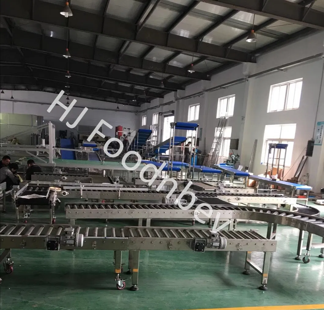 Conveyor System 3