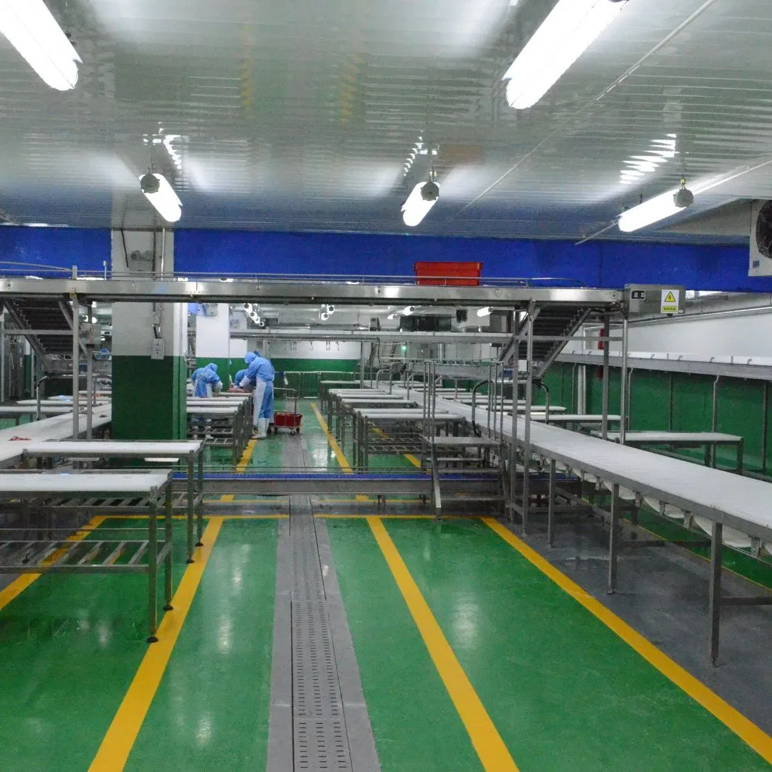 Food Factory Custom Industrial Automation Equipment Assembly Production Conveyor System