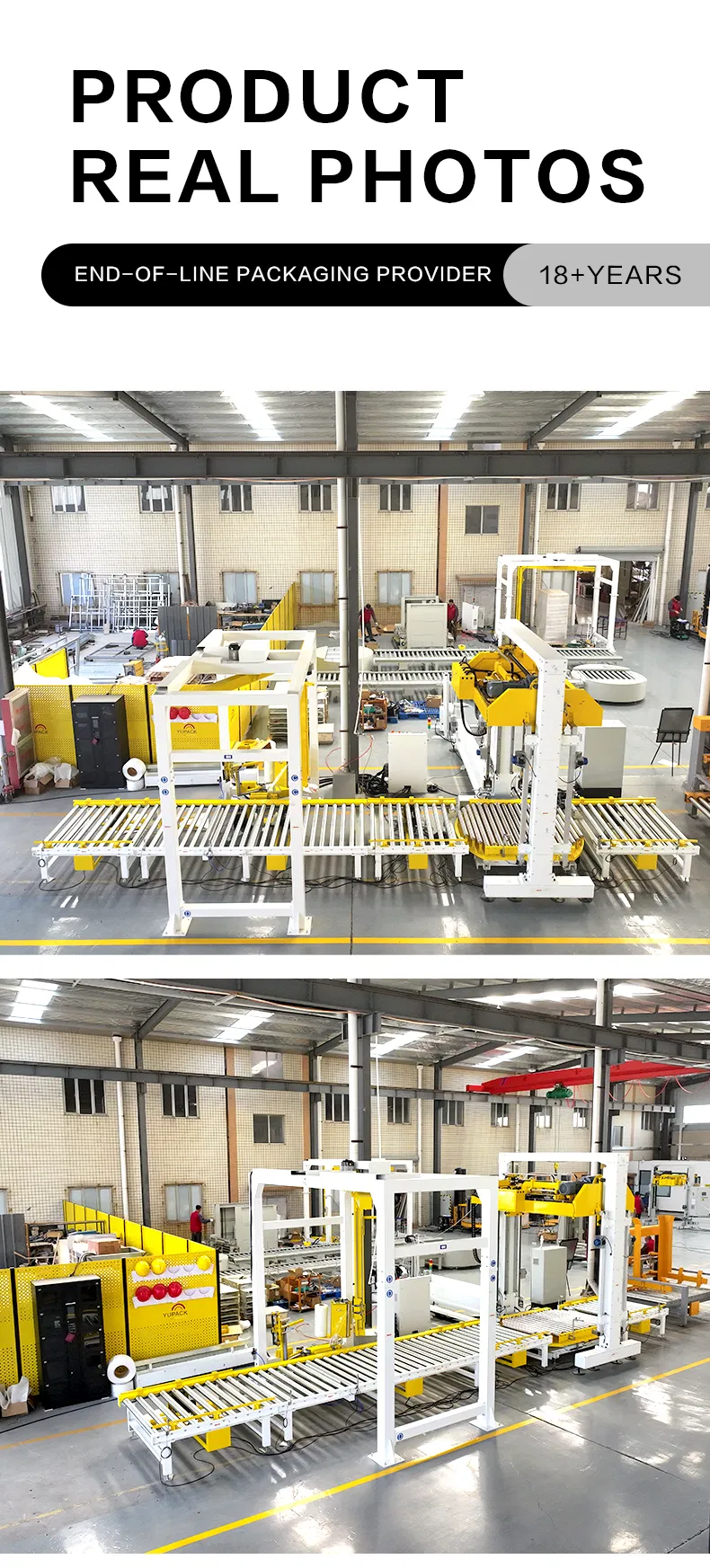 End of Line Corrugated Board Packaging System with Automatic Strapping and Conveyor Integration