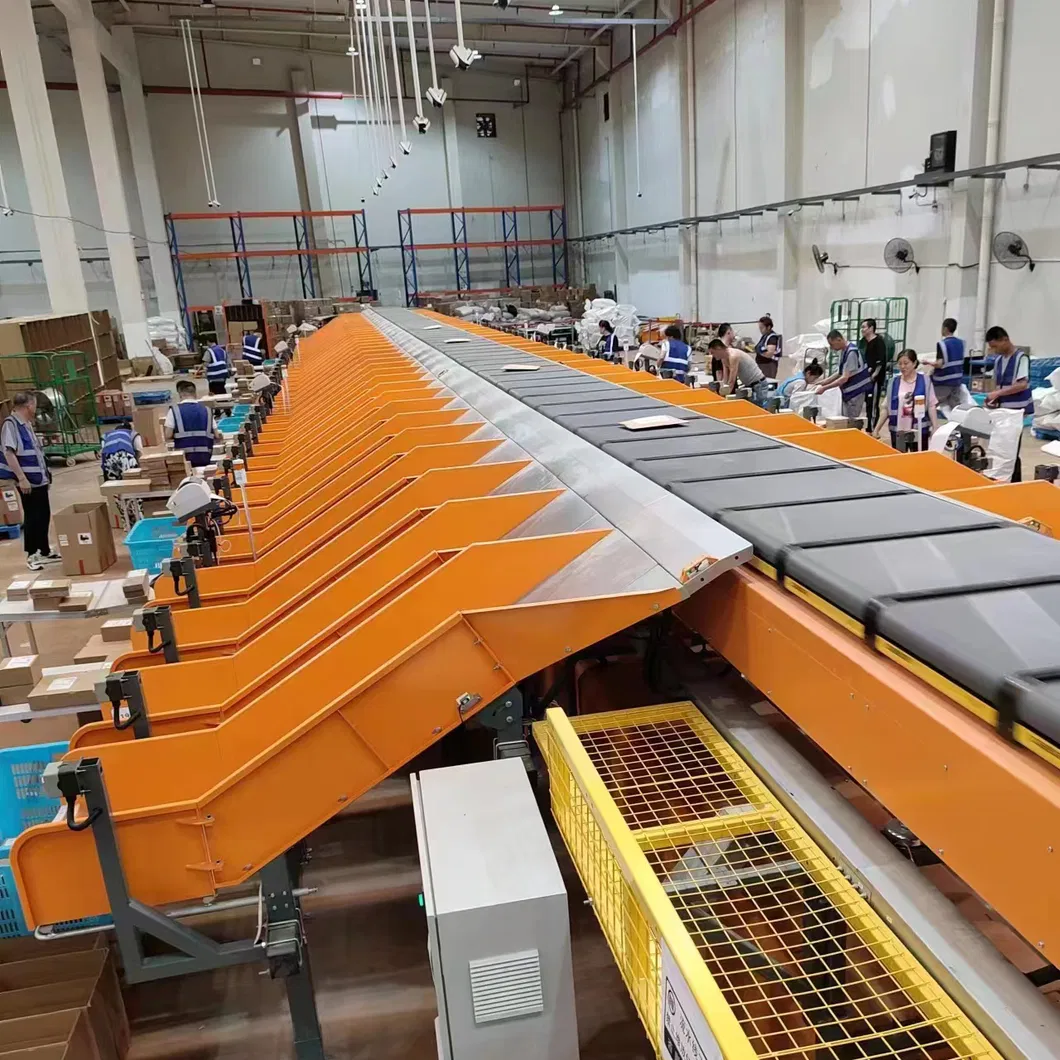 Cross Belt Sorter Detail