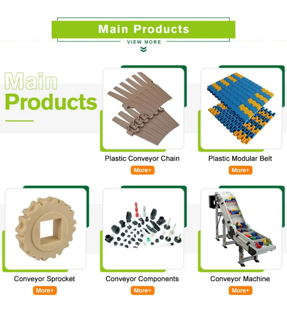 Conveyor Chain Detail