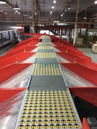 Factory Price Wooden Case Conveyor China Package System Automated Parcel Warehouse Sorting Line