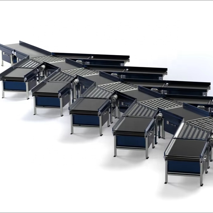Automatic Sorting Conveyor System Intelligent Control for Logistics Parcel Sorting Line Sorting Conveyor From China