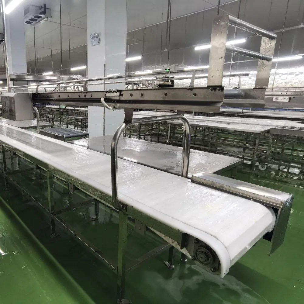 Advanced Food-Grade Conveyor System for Meat Portioning Efficiency