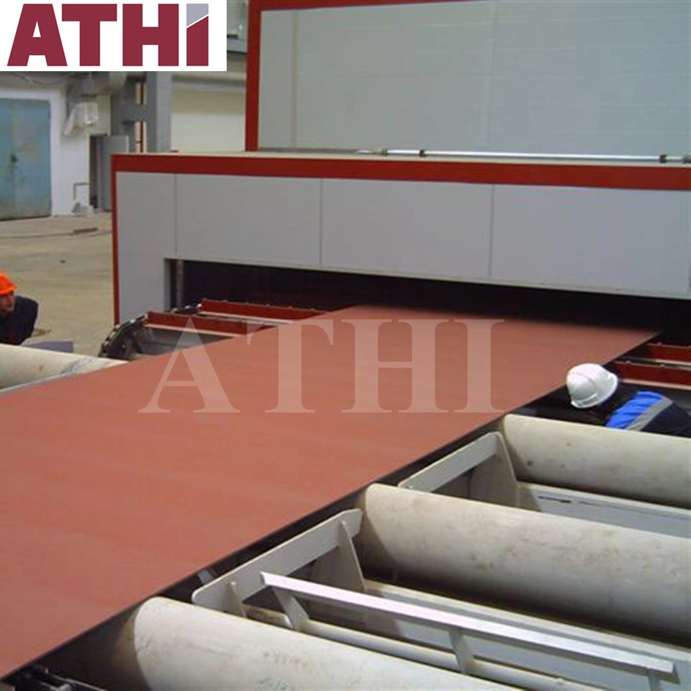 Automatic Roller Conveyor Type Shot Blast Cleaning and Spray Painting Preservation Line System for Steel Plate