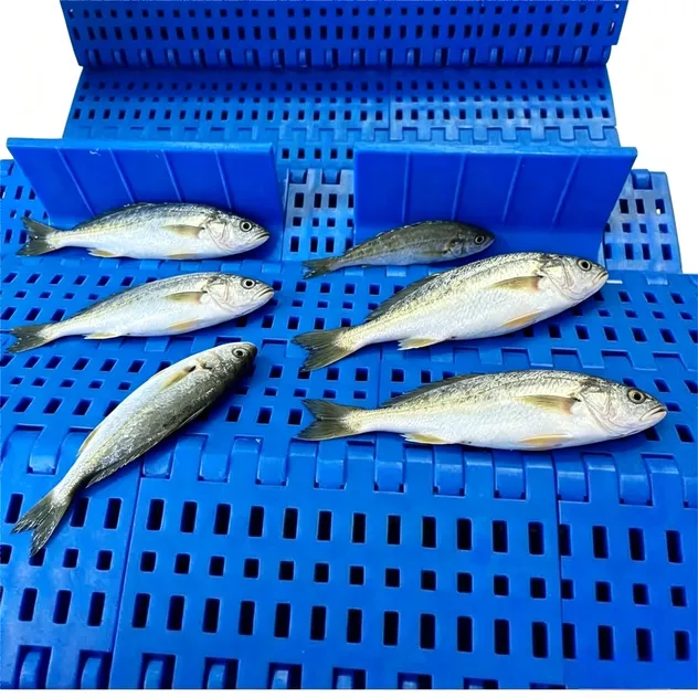 Sea Products