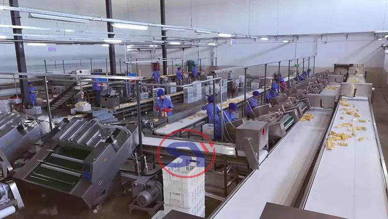 Factory Photo 1